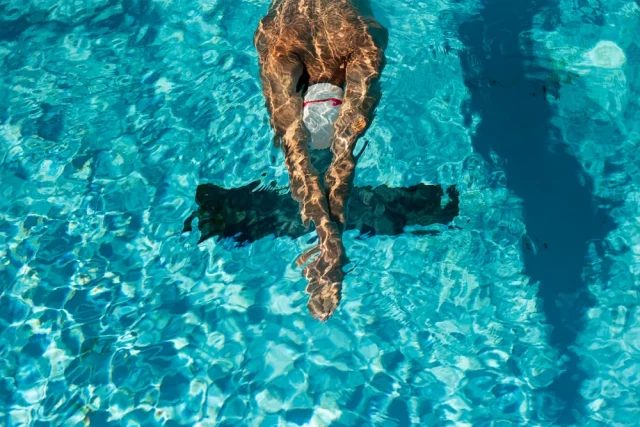 inklusives Schwimmsportfest der Lebenshilfe
