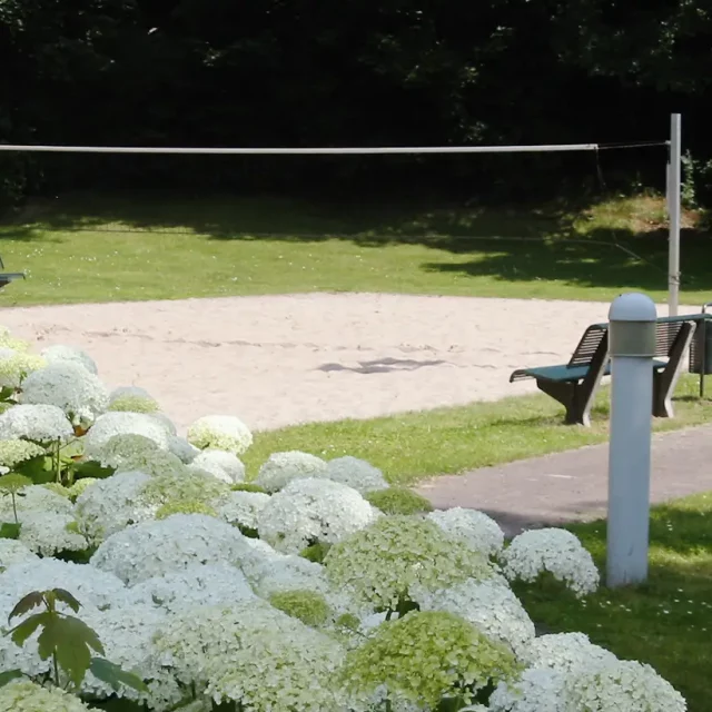 Beach-Volleyballfeld